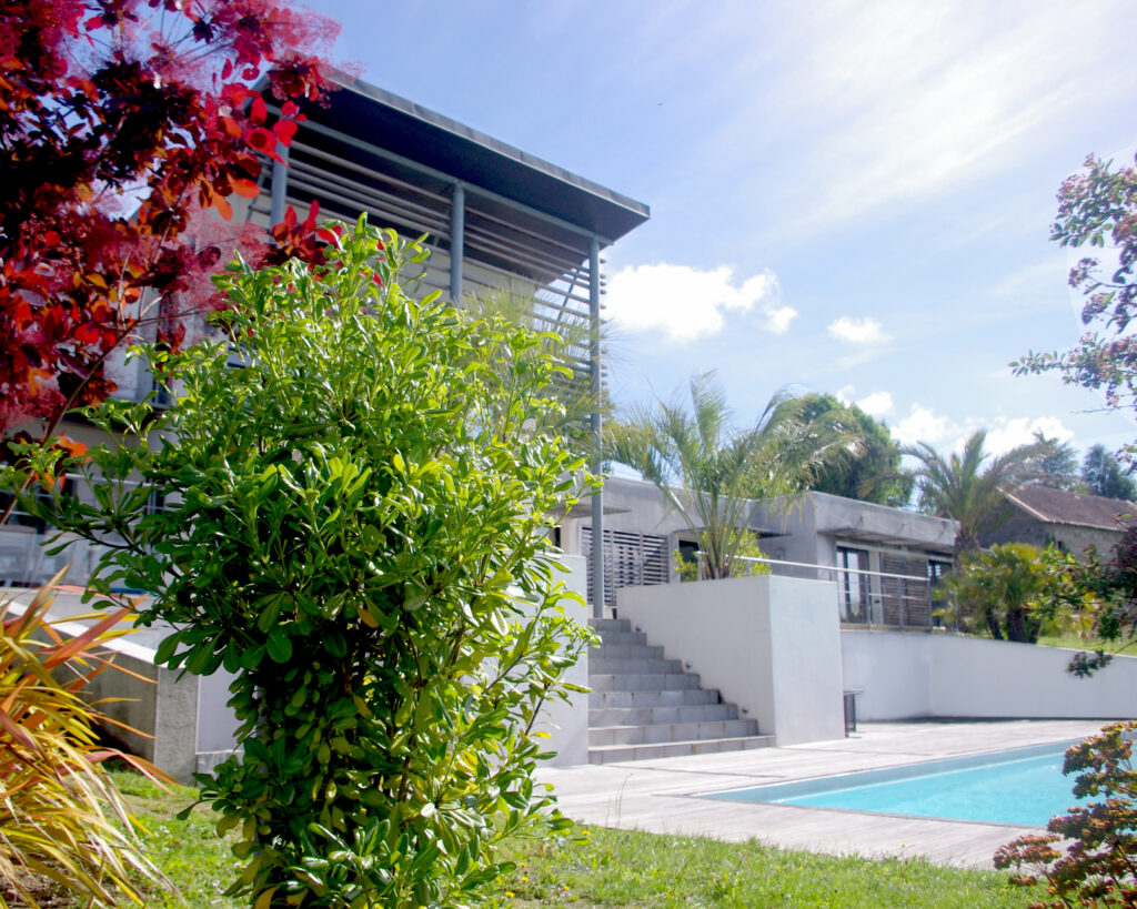 maison_belvedere-plantes